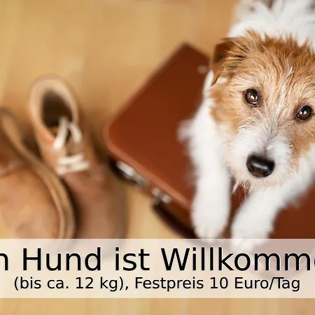 Villa Falco Fuer Familien, Bis 6 Personen, 3 Schlafzimmer Mit Bad En Suite, Pool Mit Loungebereich, Grillterrasse, Schnellem Wlan, 2 Parkplaetze, Muntrilj