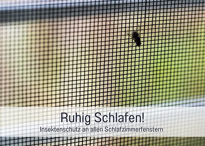 Falco Fuer Familien, Bis 6 Personen, 3 Schlafzimmer Mit Bad En Suite, Pool Mit Loungebereich, Grillterrasse, Schnellem Wlan, 2 Parkplaetze, *